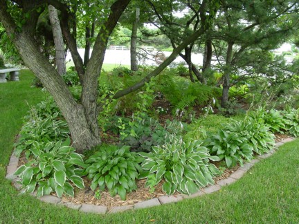 home and garden
